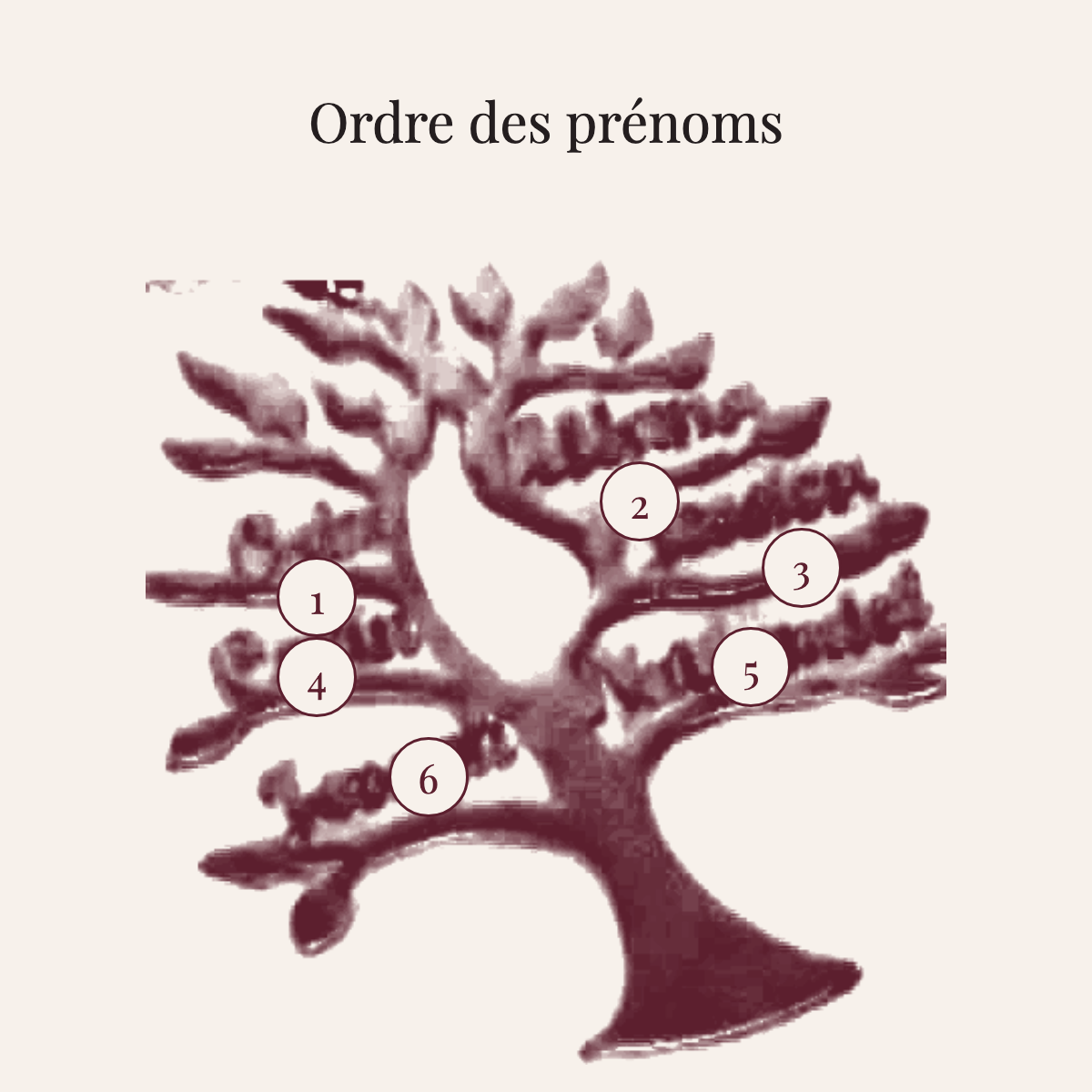 Ordre des prénoms sur le collier arbre de vie : six emplacements numérotés sur les branches